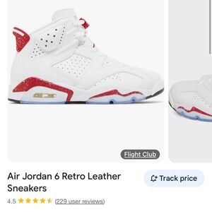 Air Jordan 6 Retro